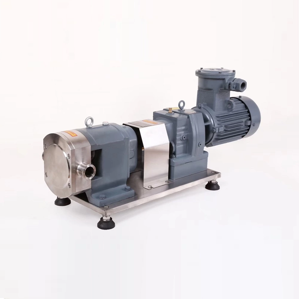 Explosion-Proof Rotary Lobe Pump