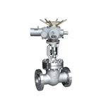 Electric Gate Valve